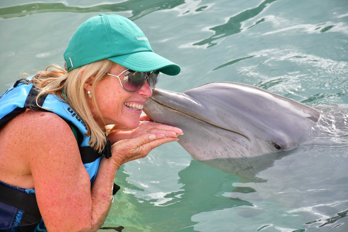 SteebMichele's tweet photo. All I want for Christmas is that we support those struggling with homelessness to achieve their full and God-given potential. 

More sloth hugs and dolphin kisses would be welcome, too!  

#homelessNOThelpless

https://t.co/QtK5KBwdgx https://t.co/JeWZtS4RvW