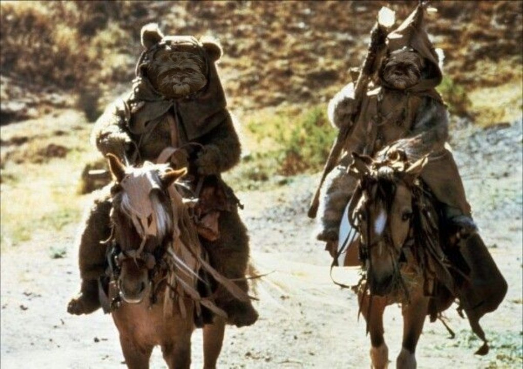 myhellblack's tweet image. Да, я все ещё издеваюсь над фотографиями своей собаки. Но я думаю он не против 
#StarWars #Dog