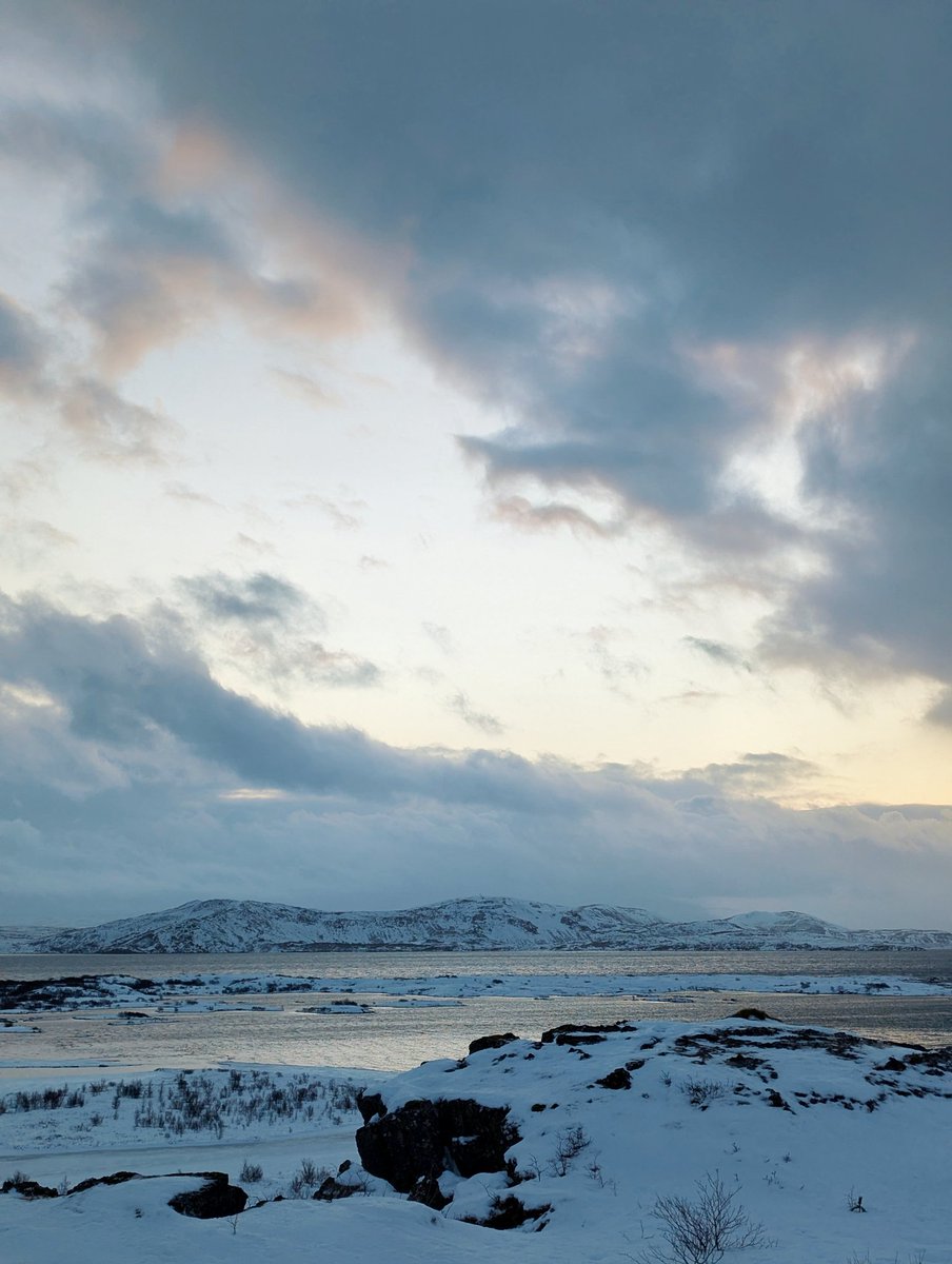 Sebasteann //. tweet media