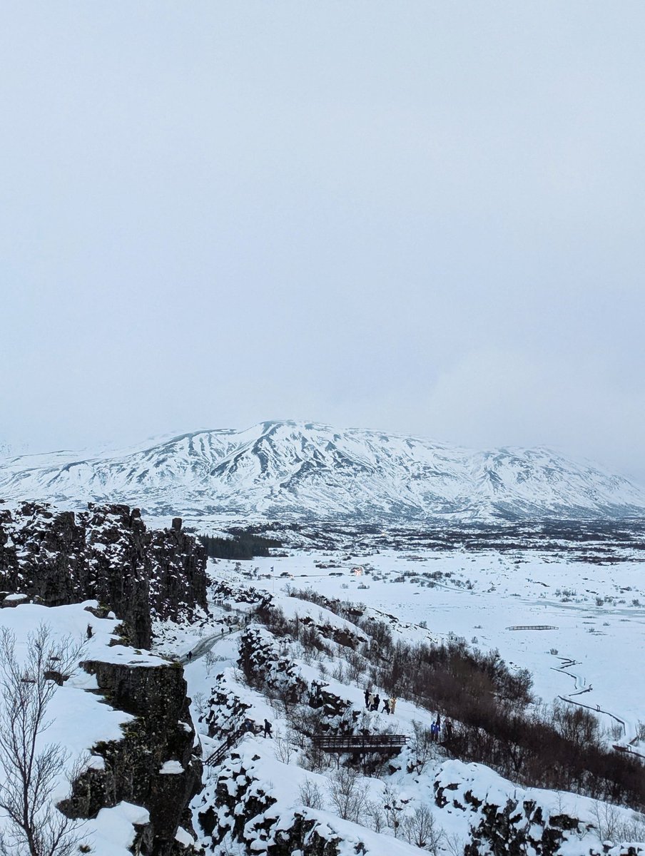 Sebasteann //. tweet media