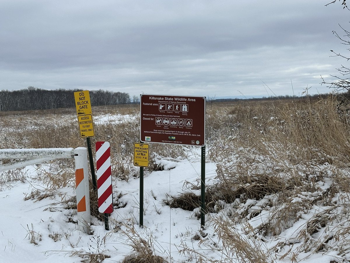 RJ McKenzie 🇺🇸 tweet media