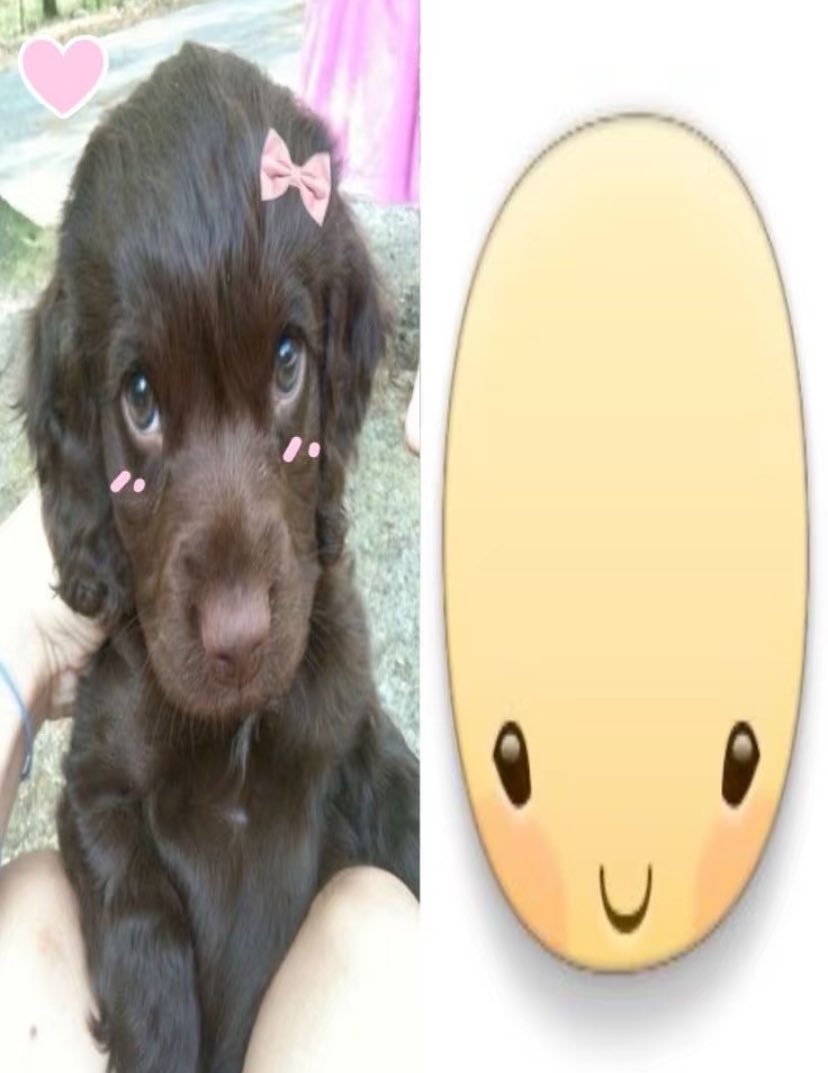 Qwobby 🇵🇸 tweet media