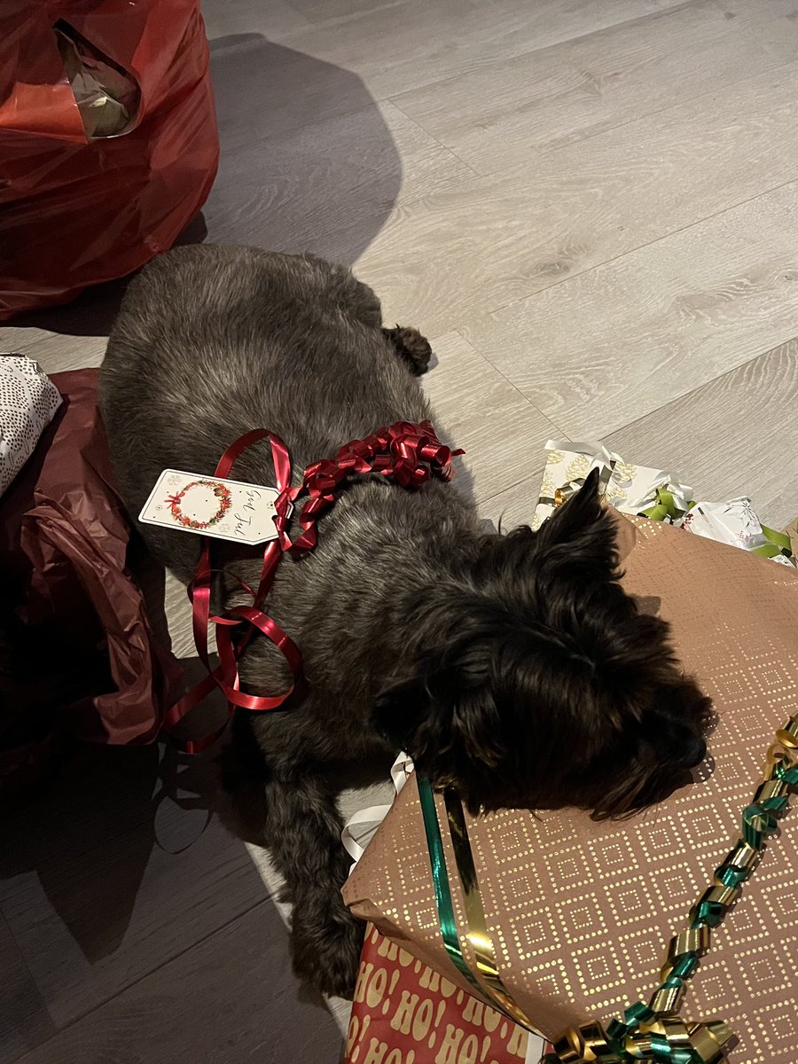 will🌴 tweet media