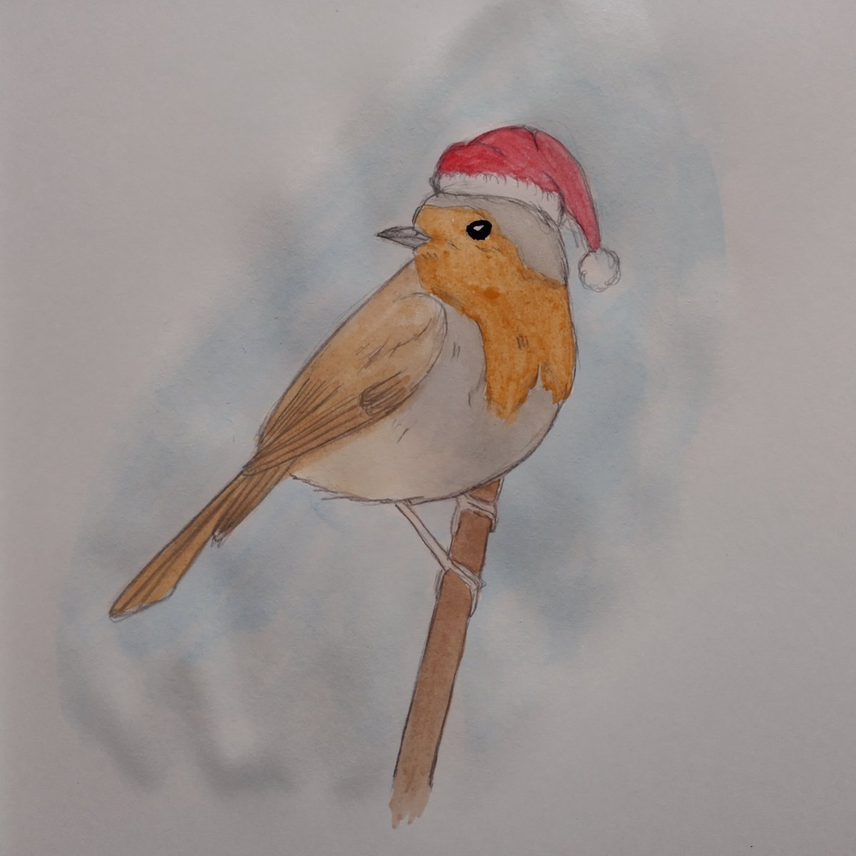 Merry Christmas to all who celebrate and happy holidays to everyone else! I had the same idea as <a href="/CarlBovisNature/">Carl Bovis</a> 🤣🤣