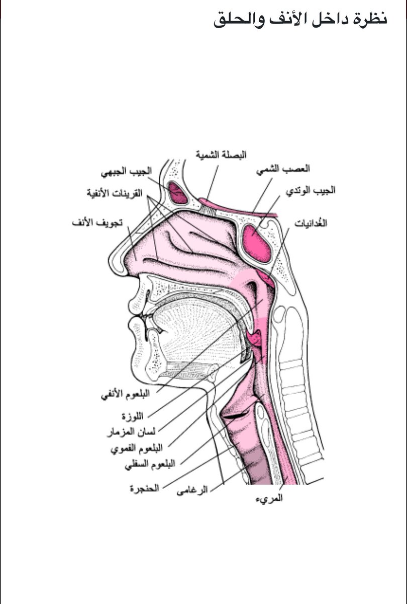 أ.د.فهد الخضيري tweet media