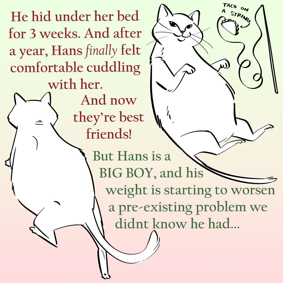 margoanimates's tweet image. gofund.me/d9211b63
Hey everyone! My friend Suzy's cat is in trouble this Christmas! Hans has kitty arthritis and he needs vet care. If you're in a place where you can donate, anything helps! 🥰 And please feel free to share!

#sickcat #vetbill #gofundme #catarthritis #vet