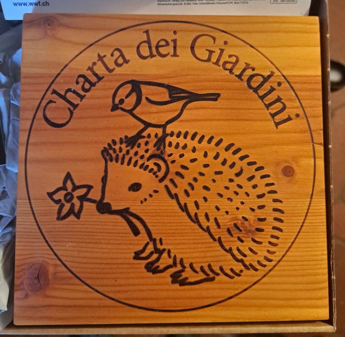 🌿 Biotopo Mundra certificato WWF! 🌿
🐦🌳 Un grande passo per la biodiversità grazie a:
 ✅ Habitat per anfibi e uccelli 🦎🐦
 ✅ 200+ alberi e arbusti autoctoni 🌲

Scopri il nostro impegno per la natura: biotopo.ch

#WWF #BiotopoMundra #Biodiversità