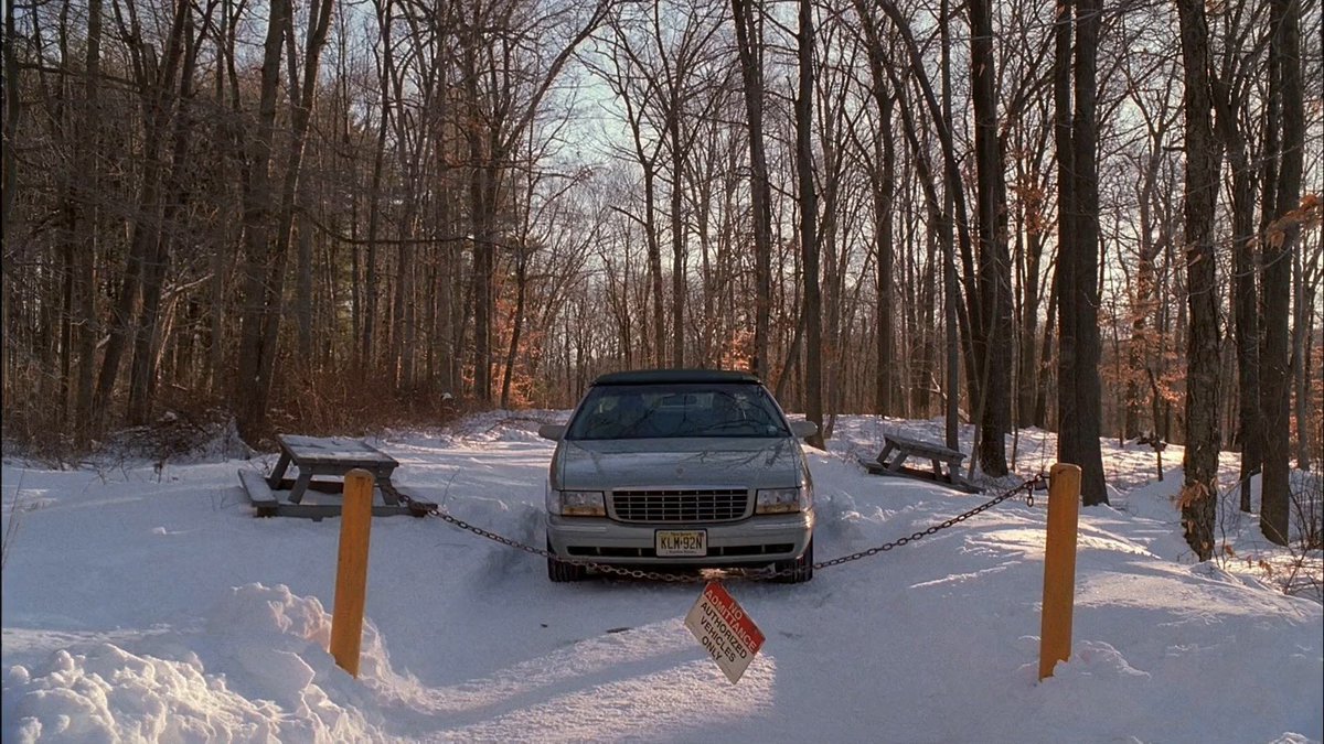 cinesthetic. tweet media