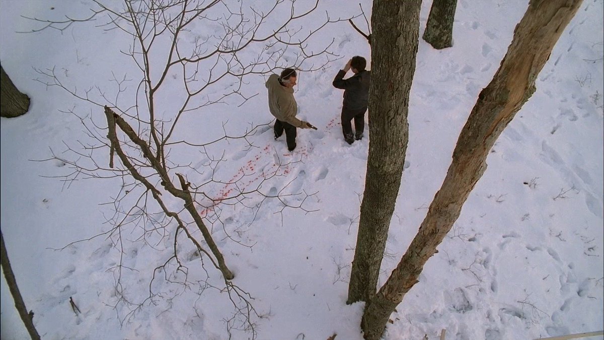 cinesthetic. tweet media