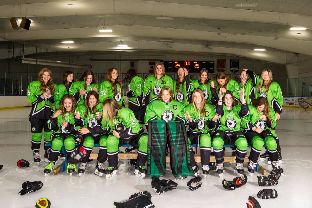 Merry Christmas and Happy New Year from the Mid-Michigan Alliance Girls High School Hockey Team!