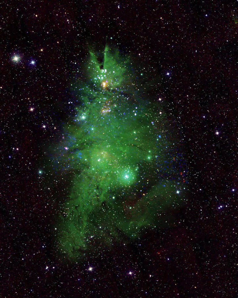choquei's tweet image. 🚨AGORA: Na véspera do Natal, a NASA divulgou a imagem de um aglomerado de estrelas que lembra uma árvore natalina.