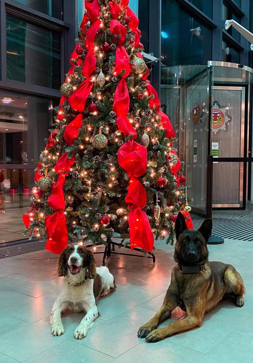 Mac, Coorie & Diesel tweet media