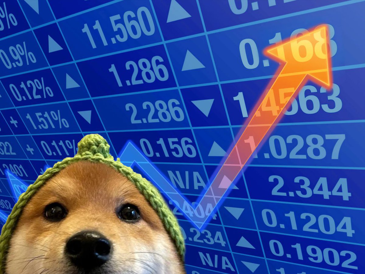 DFVTAO's tweet photo. @MustStopMurad $LOU IS COMING FOR $WIF!!! You are not ready!!! https://t.co/JsJB7KIMbk