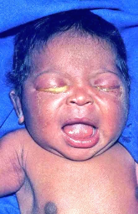 𝘿𝙤𝙘 𝙋𝙪𝙡𝙨𝙚🩺 tweet media