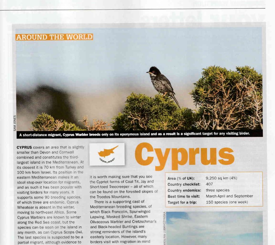 Read my profile of Cyprus in the January issue of Birdwatch - out this week