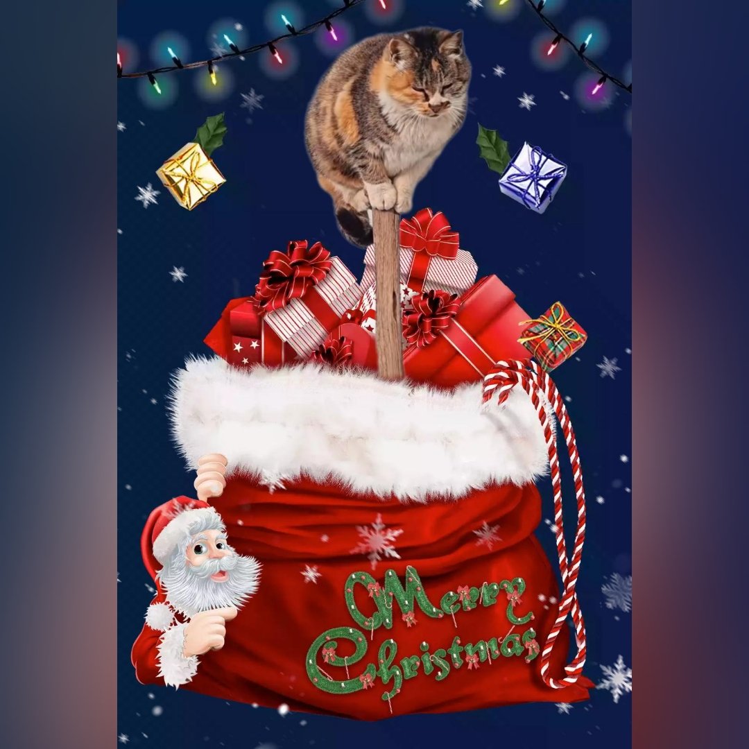 HeleneWeifner's tweet photo. Best wishes to everyone https://t.co/5lvQMzDgEF