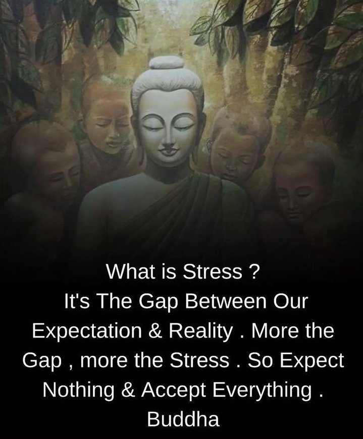 Consciousness tweet media