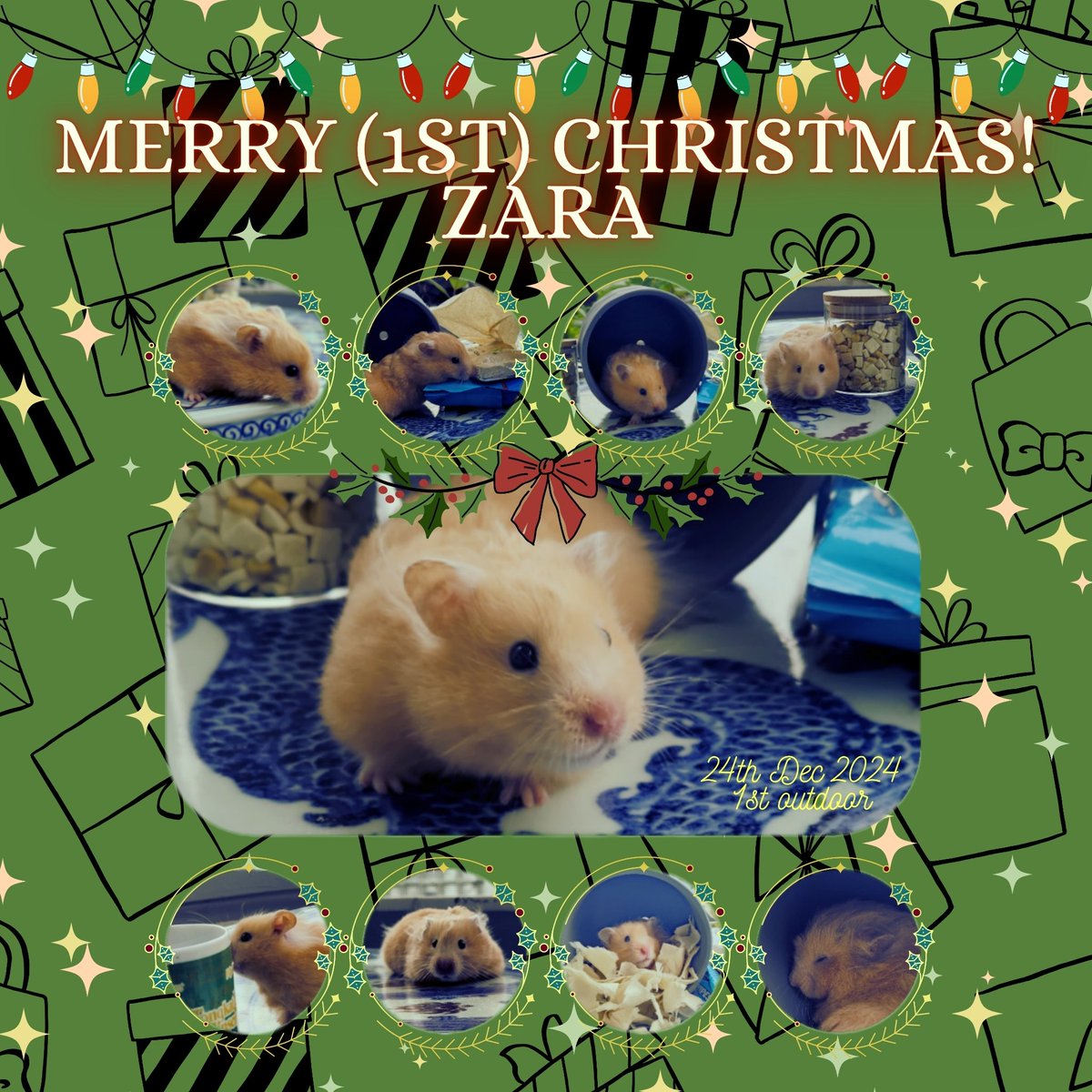 JeonIcDe's tweet photo. And my shitty attempt for my Syrian's first christmas. 🤣
Cala's one later in the day 😊

Merry Christmas to everyone too! https://t.co/zjBstP0qWw