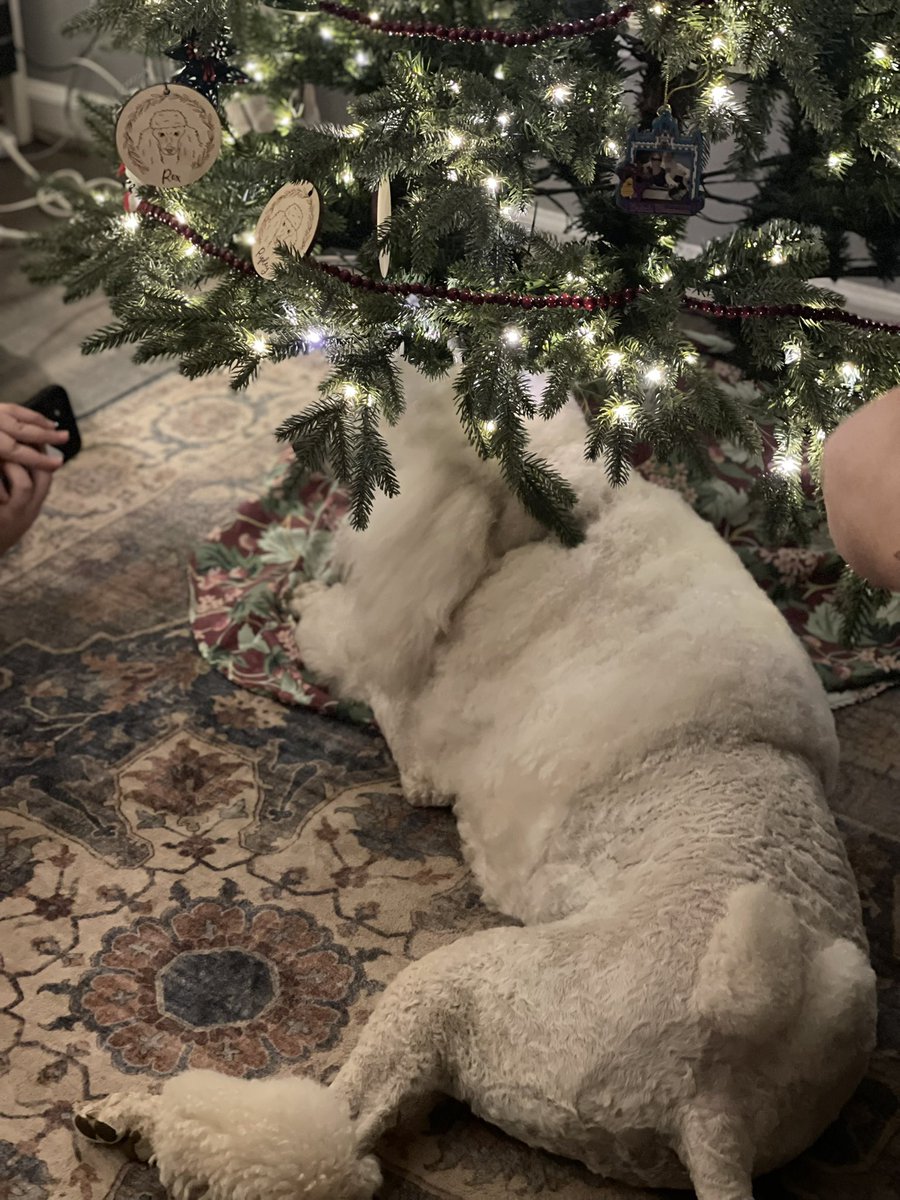 Colleen Moore Writer / riotgrrrlzgaming / twitch tweet media