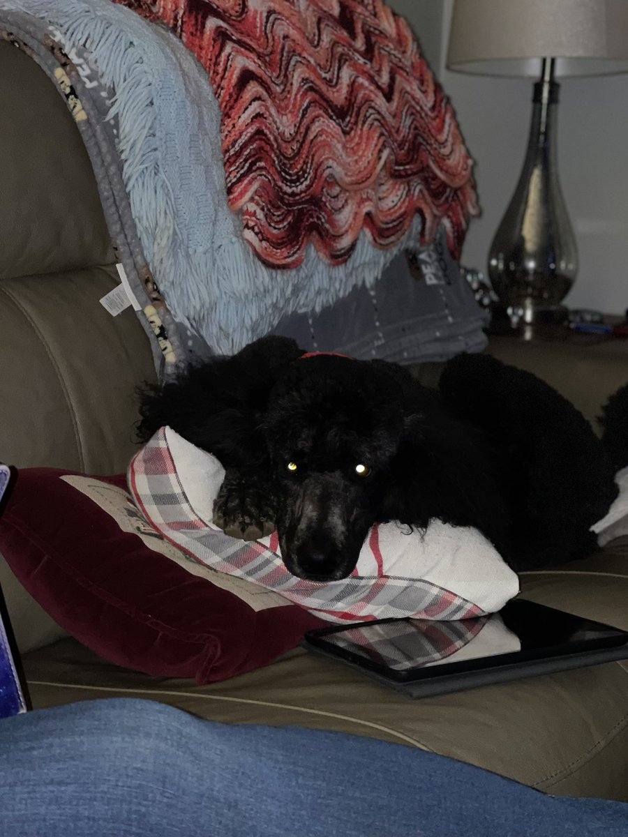 Colleen Moore Writer / riotgrrrlzgaming / twitch tweet media