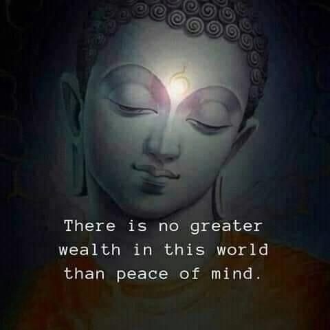 Consciousness tweet media