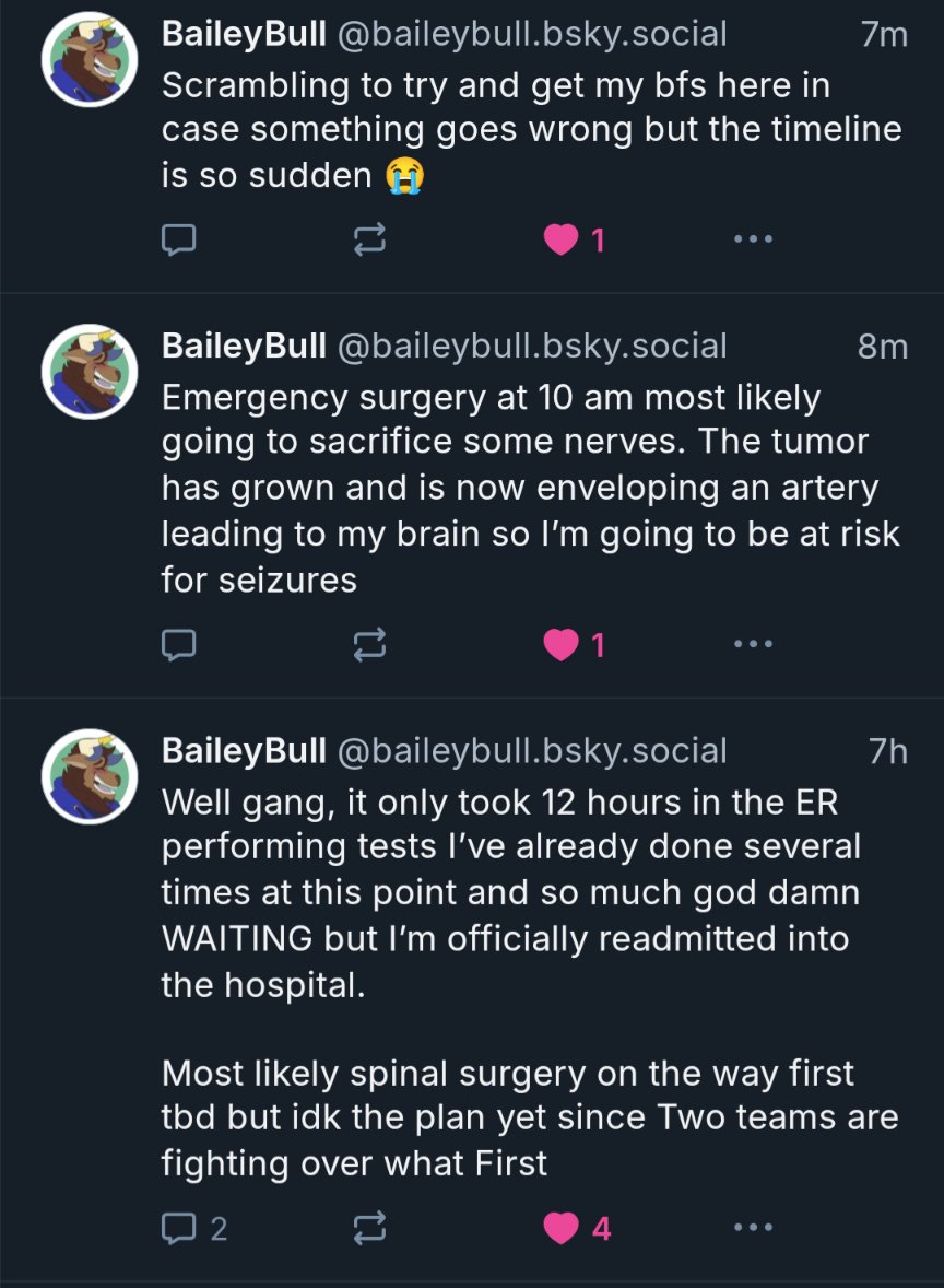 Hey, please share this if you can. My friend Bailey will be going to surgery sooner than expected. Anything, anything at all helps gofundme.com/f/help-bailey-…