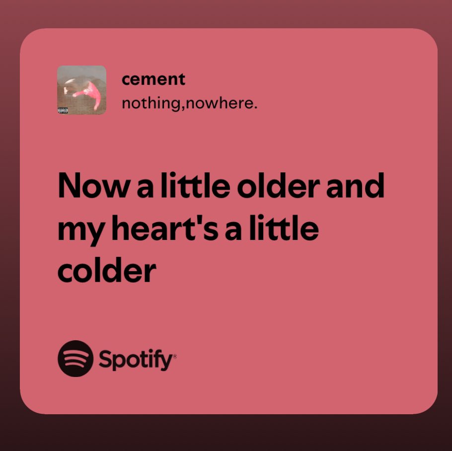 Sara ✨🖤 (@sarandipity_23) on Twitter photo 