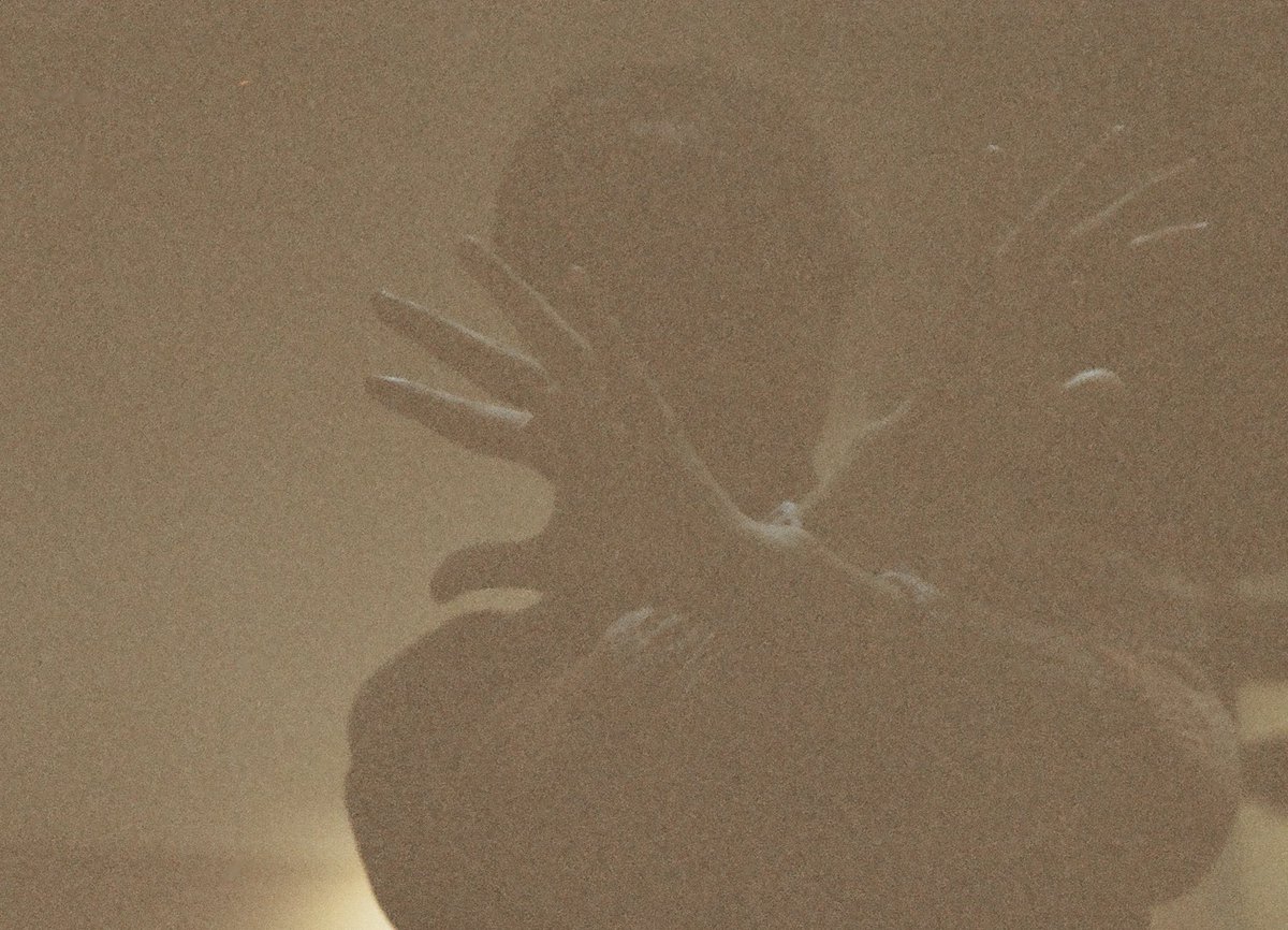 ___slip__'s tweet photo. I was a house once.

#35mm https://t.co/ER2FAchKap