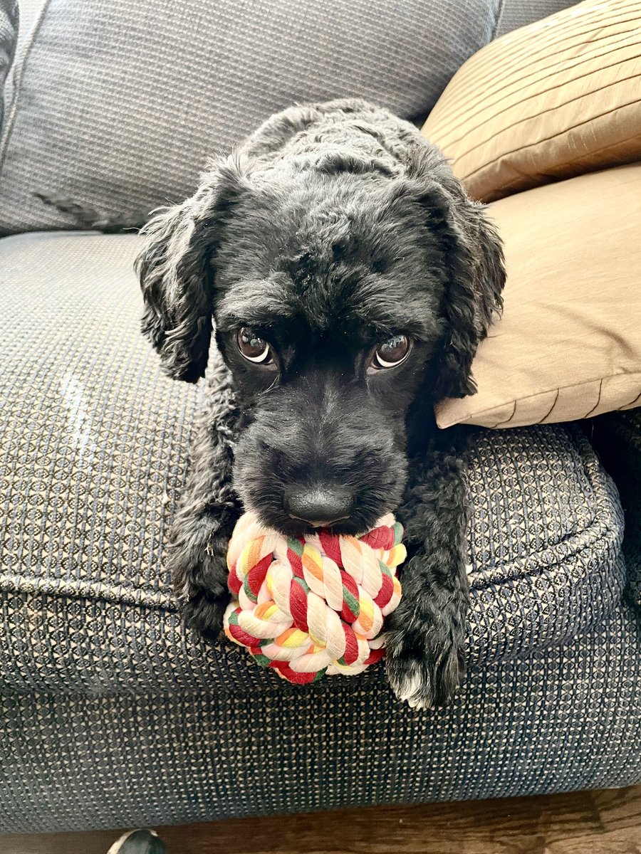 Andy Piper tweet media