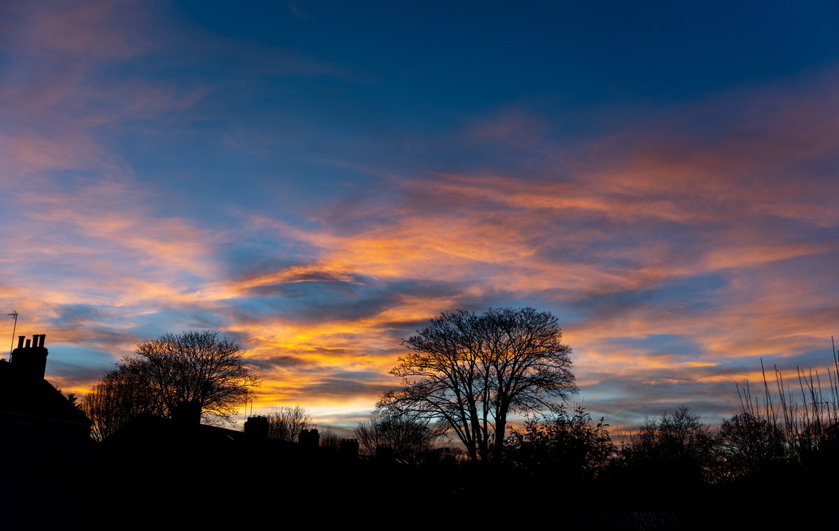 Gina Rayment tweet media