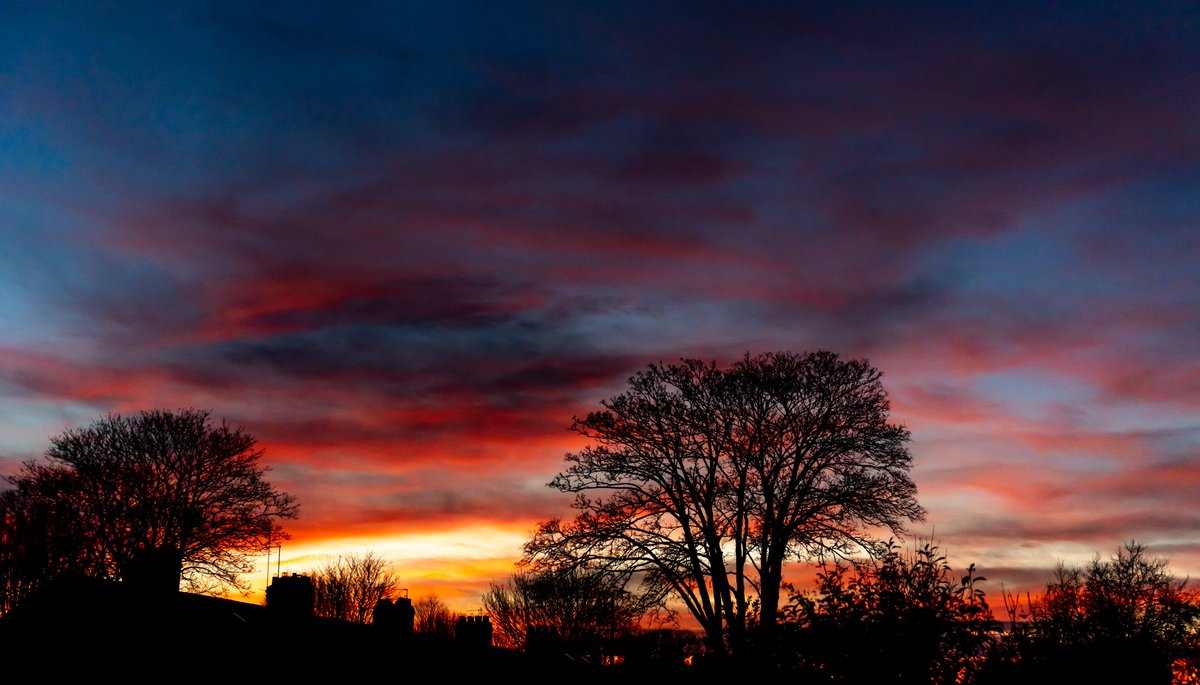 Gina Rayment tweet media