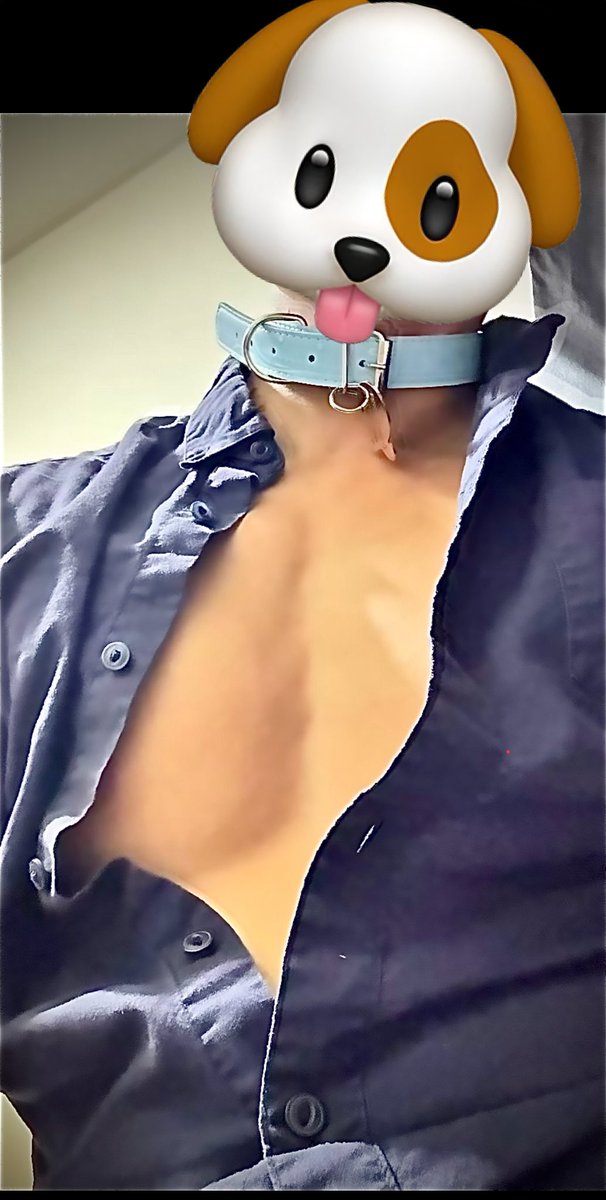 把自己包装成圣诞礼物，给主人姐姐送上她那独一无二的Hugo 🎄🎁🐟🐶

<a href="/Zoe74037703/">Mistress Zoe 👑</a> 

#4i #男m #锁奴狗 #iiii