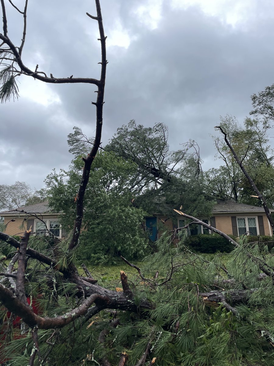 kate shellnutt tweet media