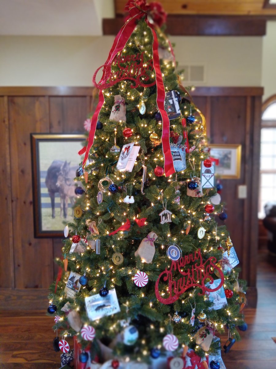 warhorseplace's tweet photo. Merry Christmas from War Horse Place. may your holiday season be blessed with family and fun while making memories. https://t.co/ezV0lxD1G8