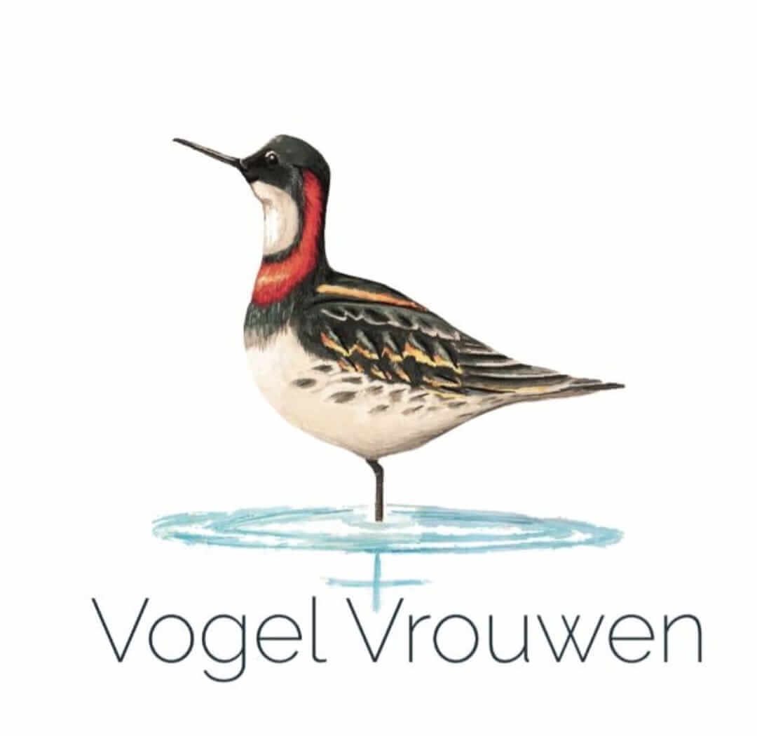 two women’s teams have signed up for this Texel Big Day edition! With 15 teams in total already, this year is gonna be extra special! 

All the info of the Texel Big Day and Wadden Vogelfestival can be found here: waddenvogelfestival.nl

#TexelBigDay2025