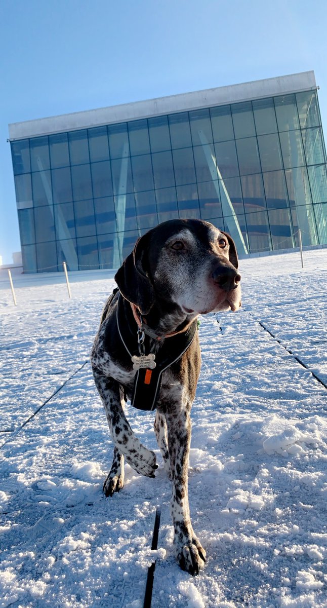 Pia Soderblom tweet media