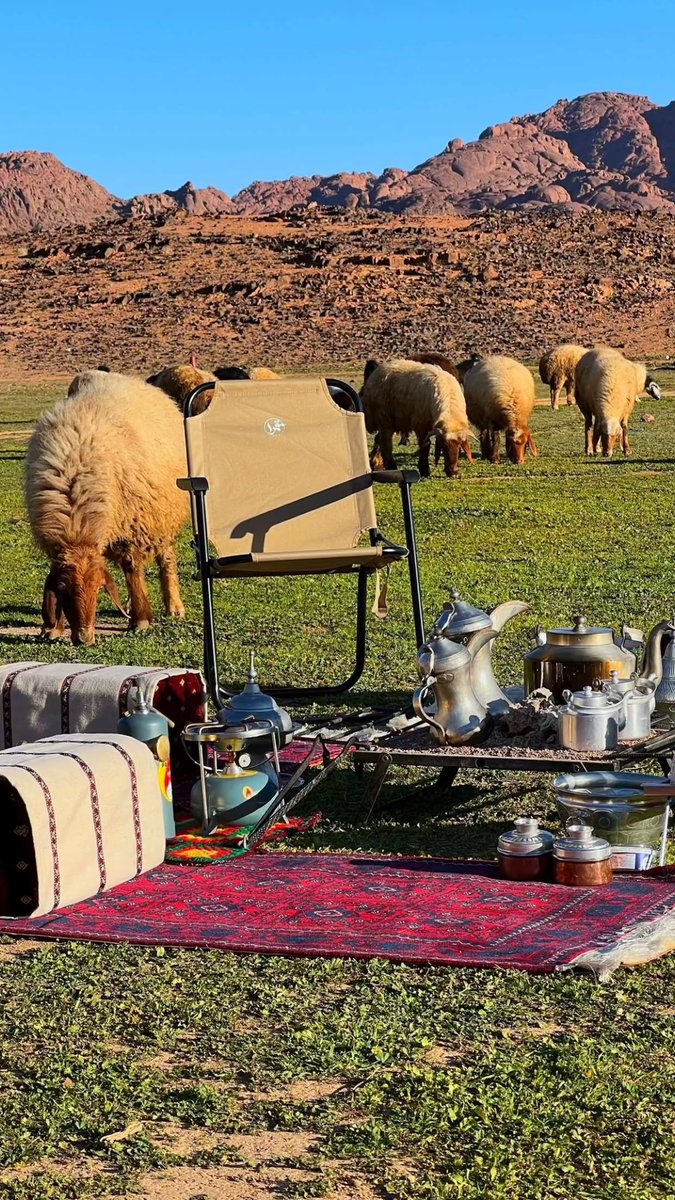 abode_bb52's tweet image. 