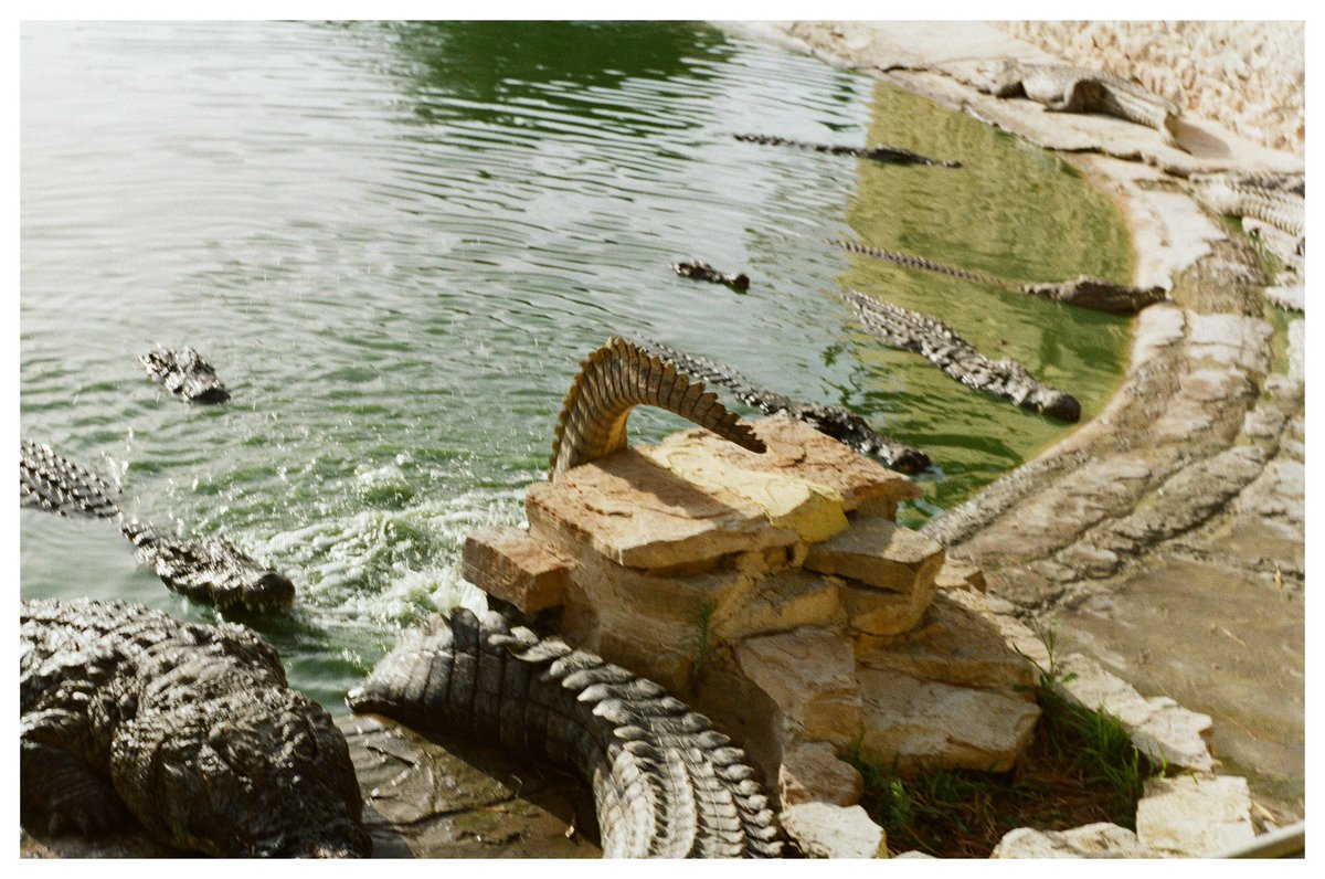 Djerba, Tunisia (2017) 

#analog #photography #filmphotography