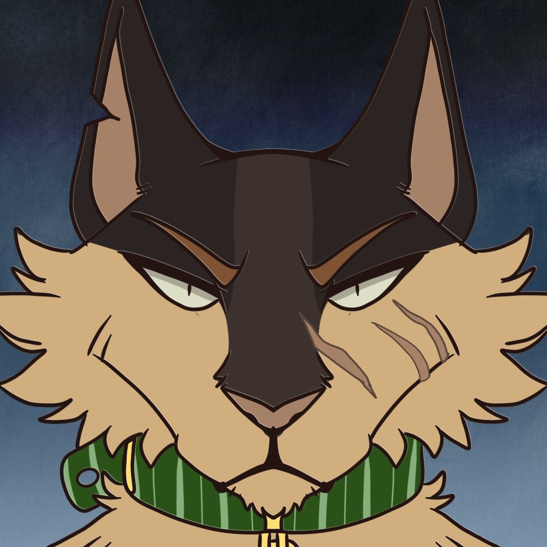 Hawkfrost's neck hole tweet media