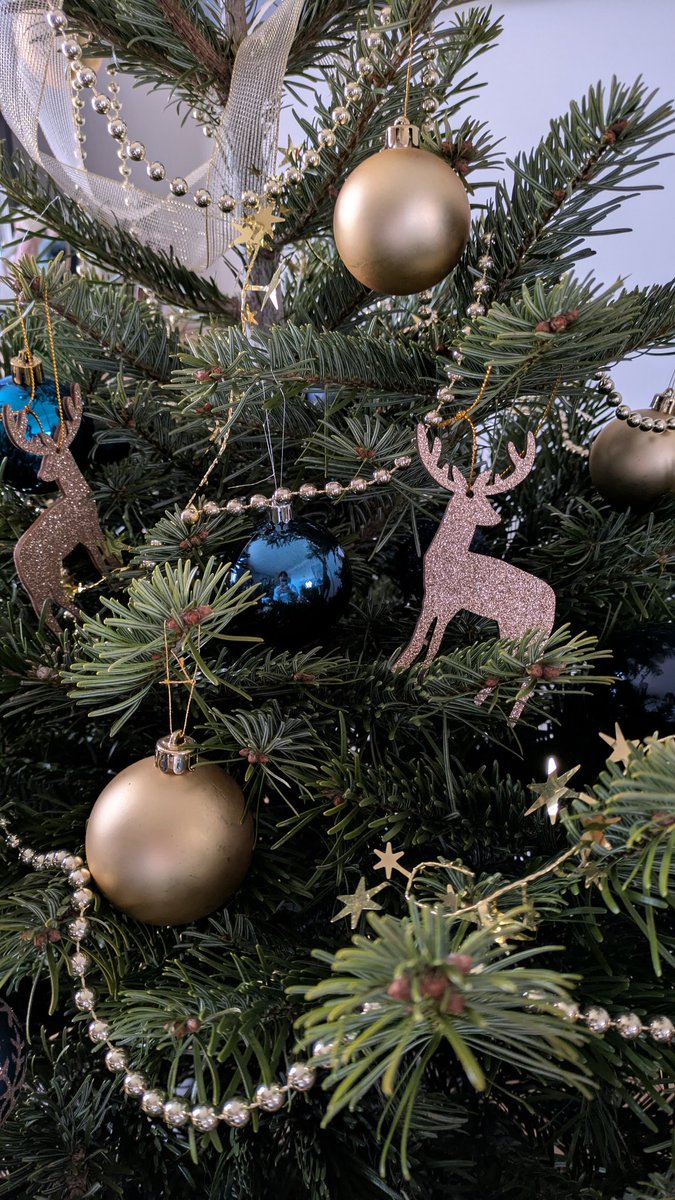 Joyeux Noël et bon réveillon les gens! 🎄🎅