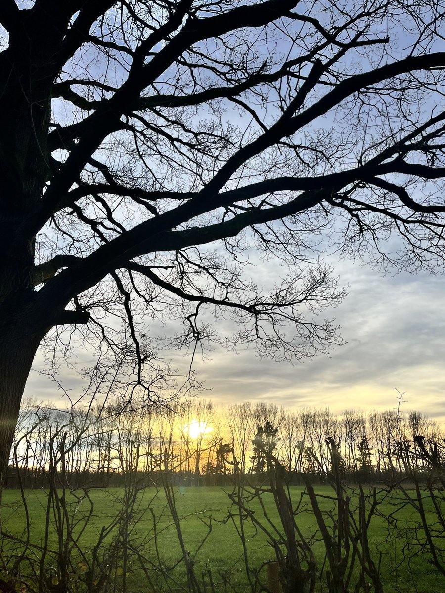matt_cork's tweet photo. Christmas eve walks… 🎄🌅 

#december #christmaseve 
#highlegh #timperley 
@FrankStatue @mr_sidebottom 
#merrythingy #sunset https://t.co/PSuOf13nuy