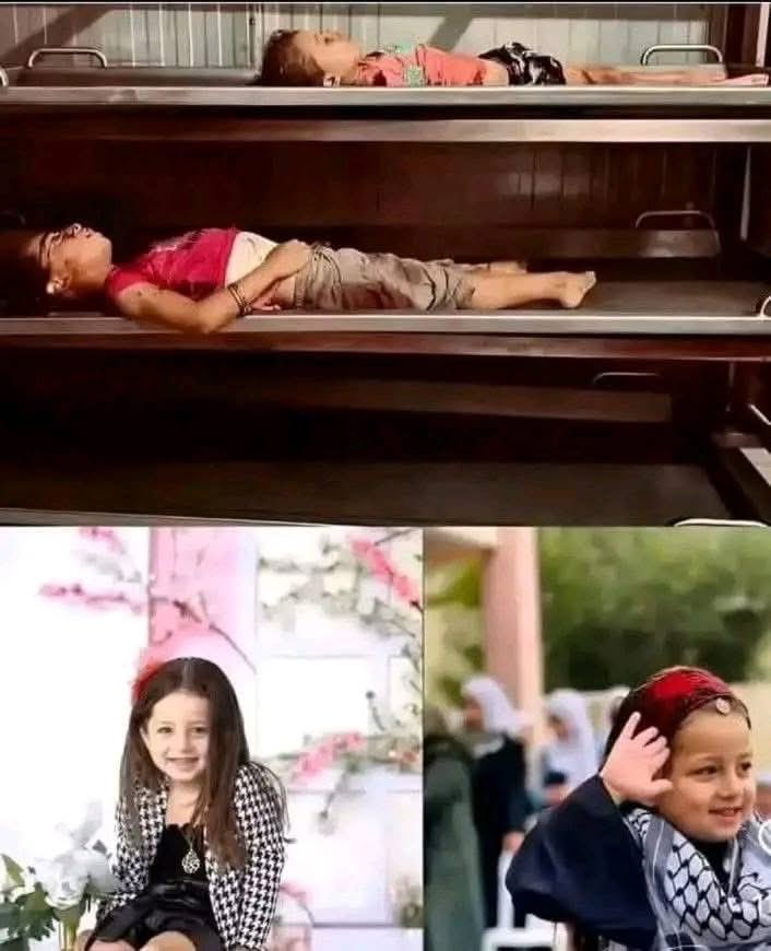 Astridueil's tweet photo. No words💔 https://t.co/iefYgRrwrd