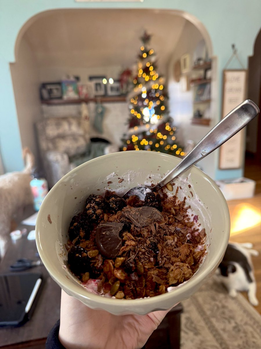 dark chocolate mixed berry