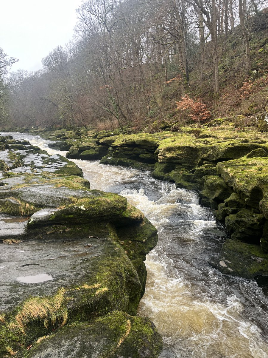 Mike Baker tweet media