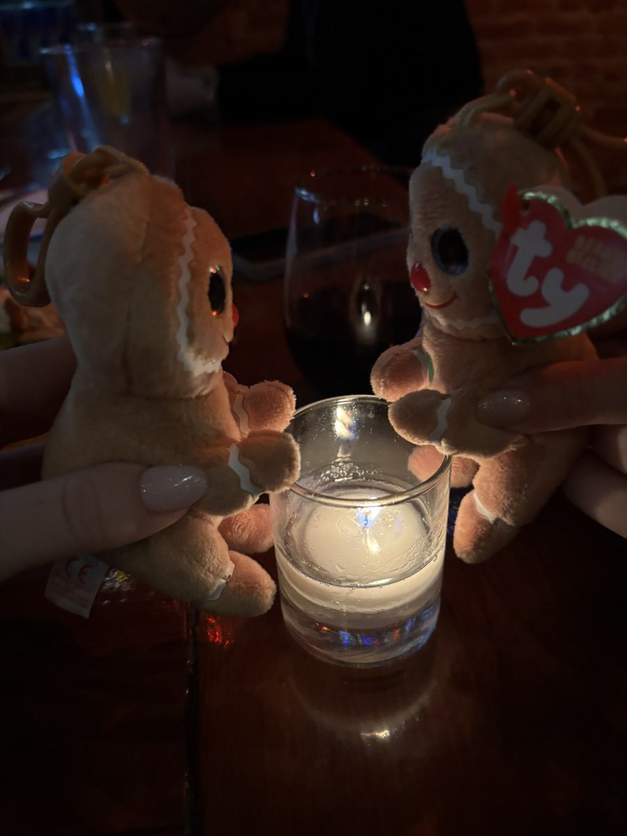 nvestergom's tweet photo. @TyInc please help 🥺 my friend and I received our cookies yesterday and decided to take them on an adventure. they were unfortunately stolen from us and we are desperate to know if/when cookie will be back in stock 😭💔 https://t.co/tMTLLEBleb