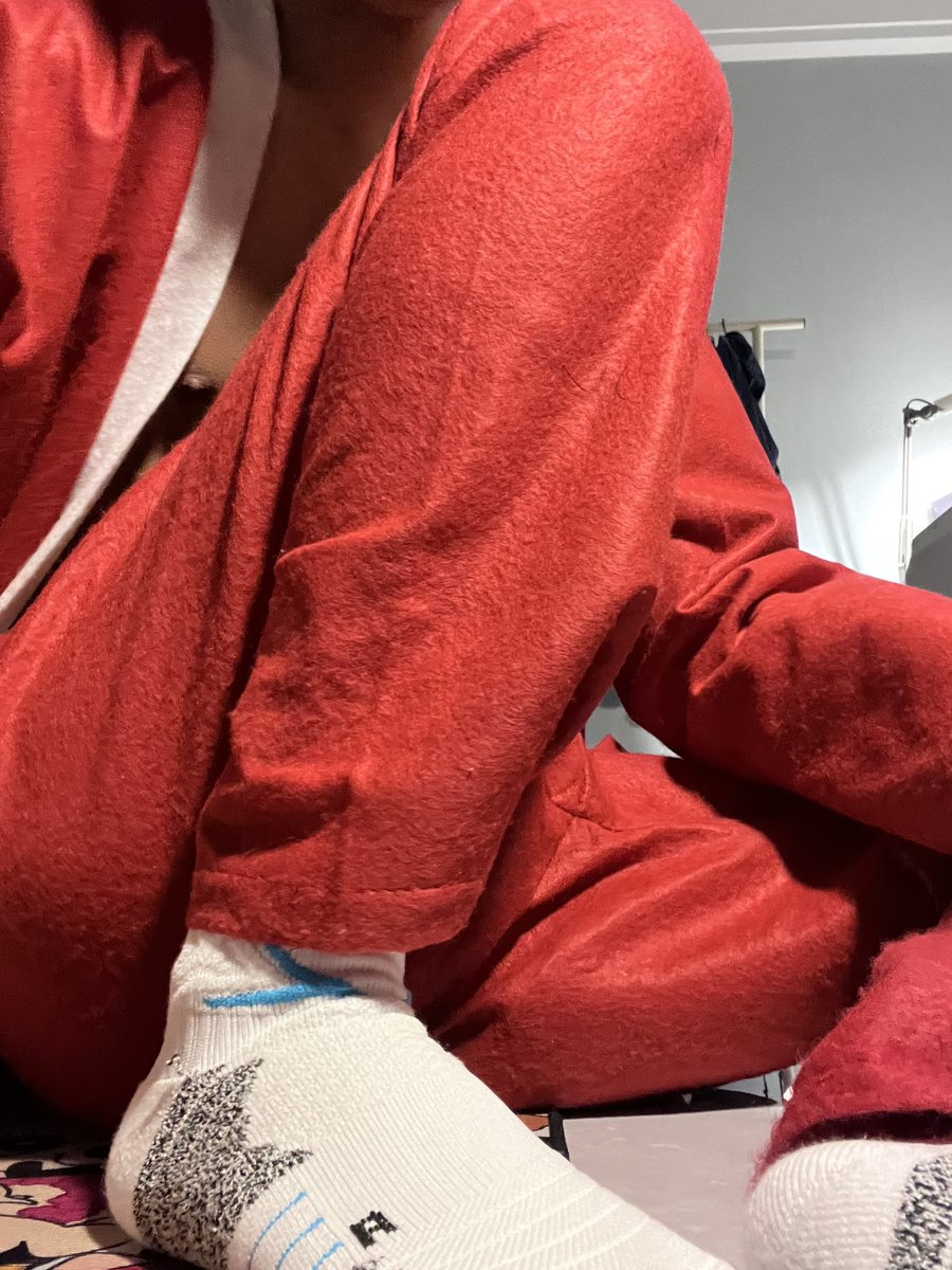 圣诞快乐狗狗🐶🎄