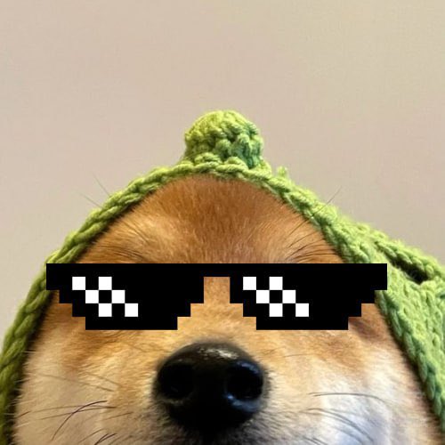 BudNoFud23 tweet media