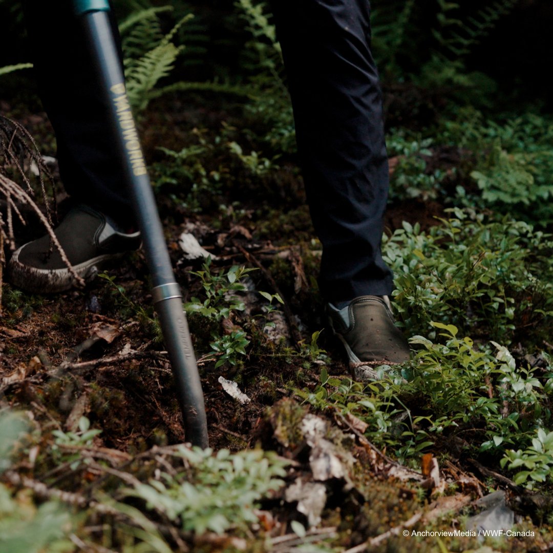 #Réussites2024 : Notre programme de formation à la mesure du carbone a pris son envol. 🚁 En utilisant des drones pour calculer la biomasse des arbres et des outils pour prélever des échantillons de sol, nous aidons les communautés à révéler le potentiel des écosystèmes. 💡💚