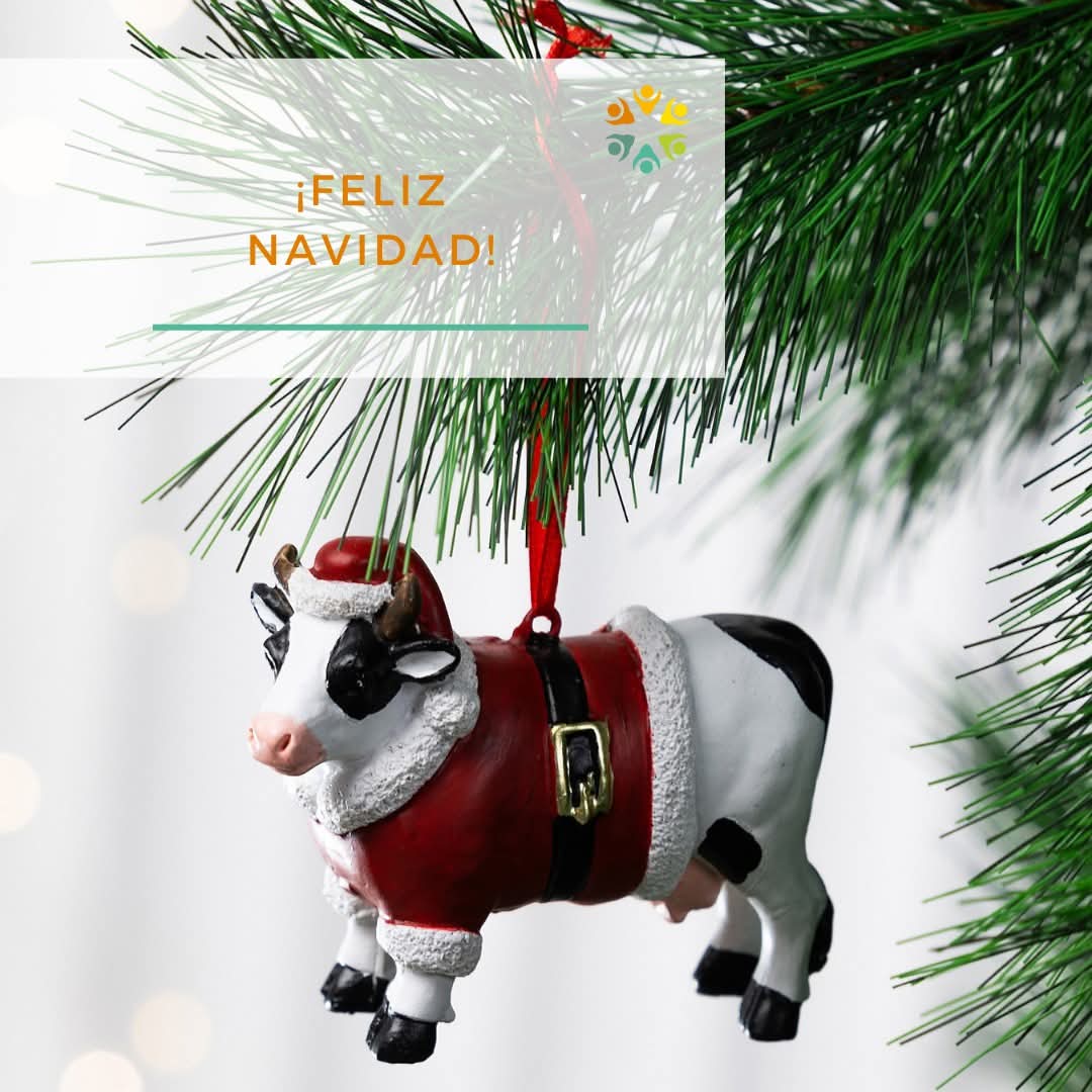 ¡Feliz Navidad! 🎄✨ 

En este tiempo de alegría y reflexión, queremos agradecerles por ser parte de nuestra comunidad, y desearles paz, unión y prosperidad a todas las familias tamberas 💫

#FelizNochebuena #FelizNavidad2024
