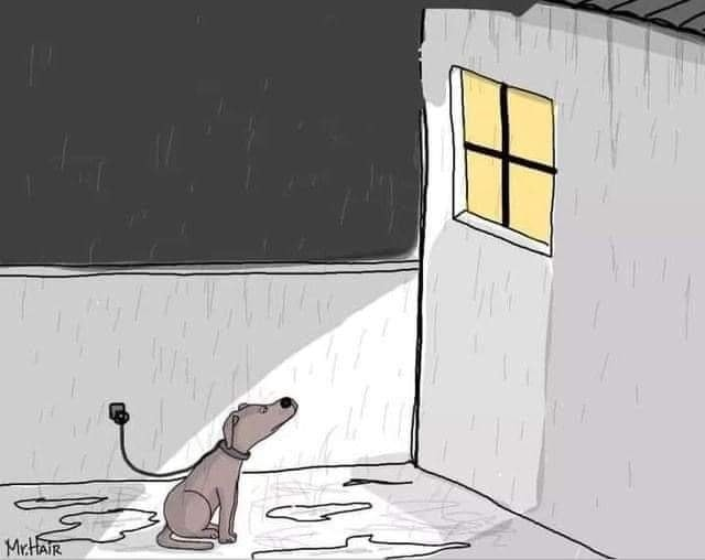 Un animal n'est pas un objet.  
Un animal, ça s'assume.
Un animal, ça ne se regrette pas. 
Un animal, ça se respecte. 
Un animal n'est pas une peluche. 
Un animal n'est pas un cadeau de Noël.  

En résumé, n'offrez pas de chien si c'est pour le donner après ou l'abandonner.